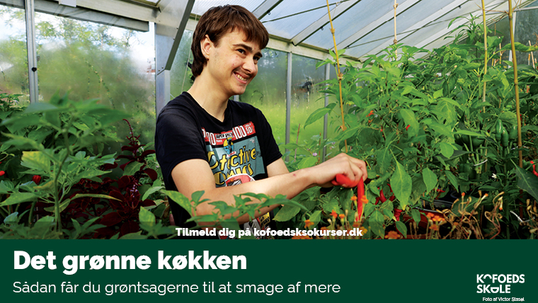 Det Grønne Køkken - en introduktion