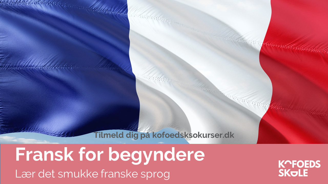 Fransk for begyndere