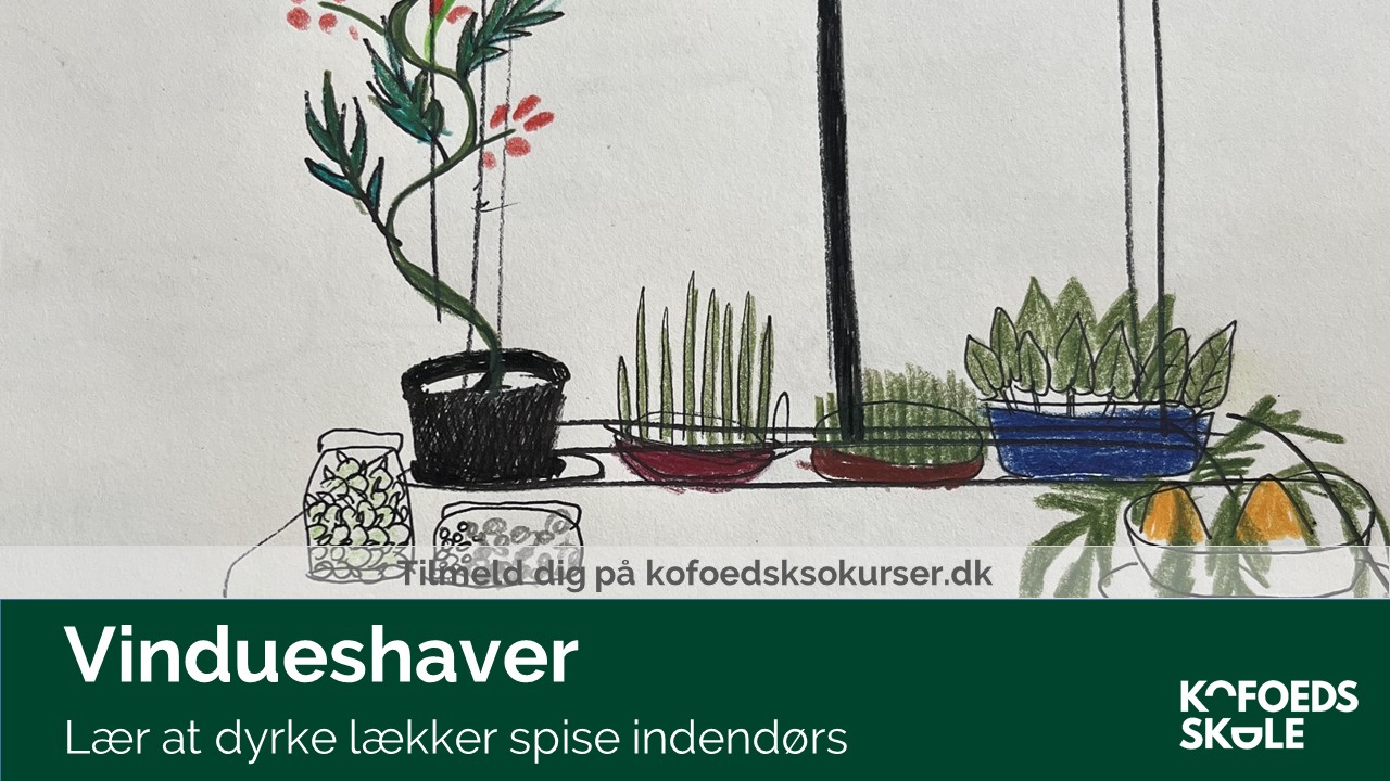 Indendørs dyrkning