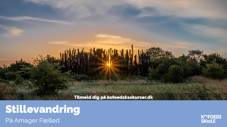 Stillevandring på Amager Fælled